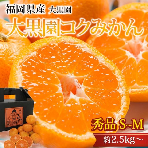 �ߤ��� ����ॳ���ߤ��� ���� ��2.5kg�� S��M������ 25��31�� ʡ�����ߤ�޻� ����ľ��<br>�ڥߥ��� ̪�� ������������ ������������ �����ߤ��� ������ �ե롼�� ��ʪ ���ե� £�� �ץ쥼��� ��ˤ��ۡڻ�ľ�ץ�ߥ����