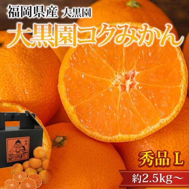 �ߤ��� ����ॳ���ߤ��� ���� ��2.5kg�� L������ 16��22�� ʡ�����ߤ�޻� ����ľ��<br>�ڥߥ��� ̪�� ������������ ������������ �����ߤ��� ������ �ե롼�� ��ʪ ���ե� £�� �ץ쥼��� ��ˤ��ۡڻ�ľ�ץ�ߥ����