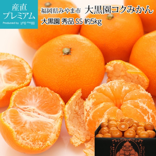 みかん 大黒園コクみかん 秀品 約5kg SSサイズ 70～80個 小玉