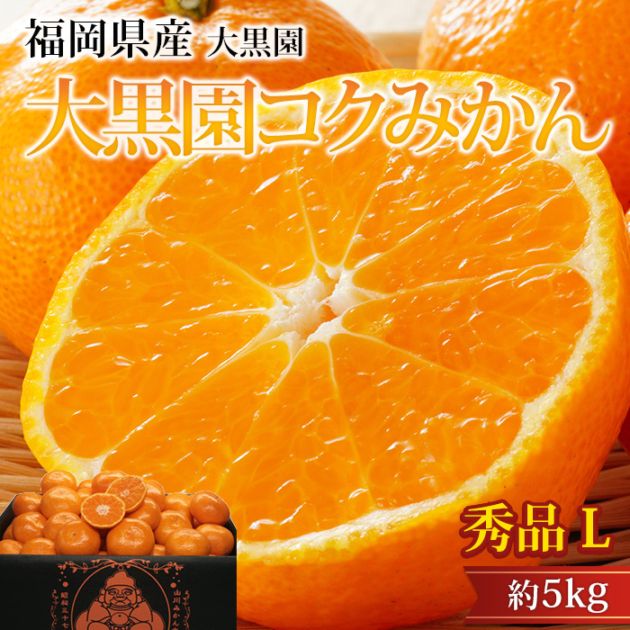 �ߤ��� ����ॳ���ߤ��� ���� ��5kg L������ 32��40�� ʡ�����ߤ�޻� ����ľ��<br>�ڥߥ��� ̪�� ������������ ������������ �����ߤ��� ������ �ե롼�� ��ʪ ���ե� £�� �ץ쥼��� ��ˤ��ۡڻ�ľ�ץ�ߥ����
