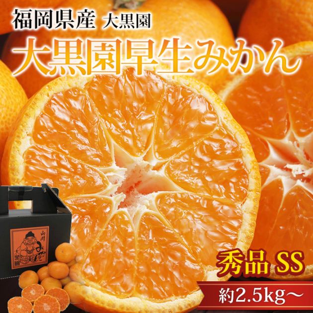 �ߤ��� ����������ߤ��� ���� ��2.5kg�� SS������ 37��45�� ���� ��γ ʡ�����ߤ�޻� ����ľ��<br>�ڥߥ��� ̪�� ������������ ������������ �����ߤ��� �碌�ߤ��� ������ �ե롼�� ��ʪ ���ե� £�� �ץ쥼��� ��ˤ� Ȣ�������ۡڻ�ľ�ץ�ߥ����