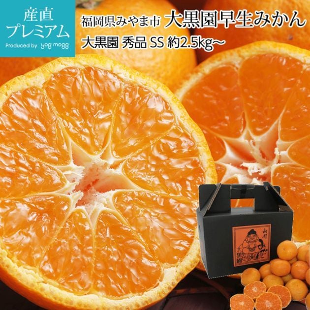 �ߤ��� ����������ߤ��� ���� ��2.5kg�� SS������ 37��45�� ���� ��γ ʡ�����ߤ�޻� ����ľ��<br>�ڥߥ��� ̪�� ������������ ������������ �����ߤ��� �碌�ߤ��� ������ �ե롼�� ��ʪ ���ե� £�� �ץ쥼��� ��ˤ� Ȣ�������ۡڻ�ľ�ץ�ߥ����