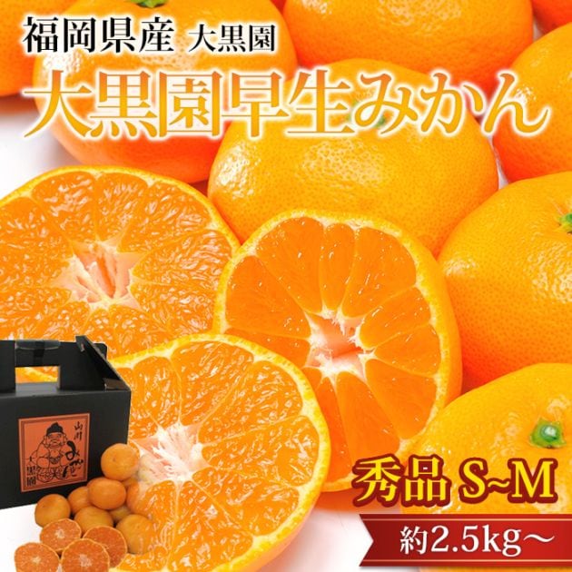 �ߤ��� ����������ߤ��� ���� ��2.5kg�� S��M������ 25��31�� ʡ�����ߤ�޻� ����ľ��<br>�ڥߥ��� ̪�� ������������ ������������ �����ߤ��� �碌�ߤ��� ������ �ե롼�� ��ʪ ���ե� £�� �ץ쥼��� ��ˤ� Ȣ�������ۡڻ�ľ�ץ�ߥ����