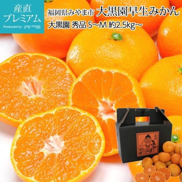 �ߤ��� ����������ߤ��� ���� ��2.5kg�� S��M������ 25��31�� ʡ�����ߤ�޻� ����ľ��<br>�ڥߥ��� ̪�� ������������ ������������ �����ߤ��� �碌�ߤ��� ������ �ե롼�� ��ʪ ���ե� £�� �ץ쥼��� ��ˤ� Ȣ�������ۡڻ�ľ�ץ�ߥ����