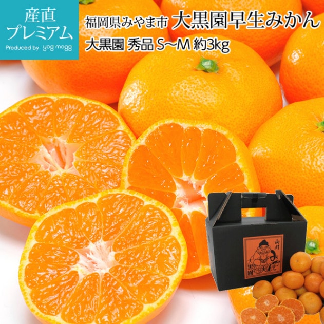 ߤ ߤ  3kg SM 3036 ʡߤ޻ ľ<br>ڥߥ ̪   ߤ 碌ߤ  ե롼 ʪ ե £ ץ쥼 ˤ Ȣۡڻľץߥ