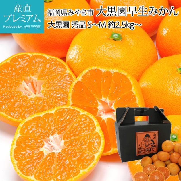 みかん 大黒園早生みかん 秀品 約2.5kg～ S～Mサイズ 25～31個 福岡県