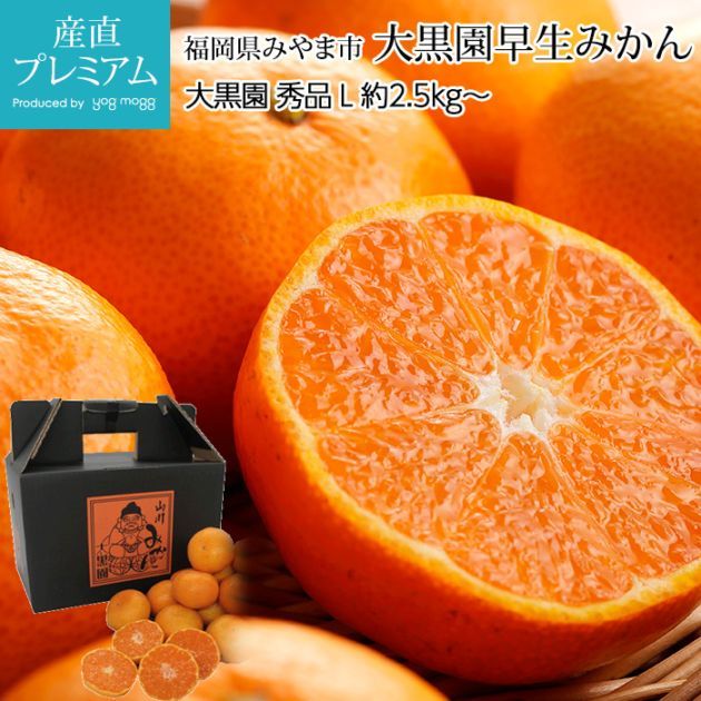 �ߤ��� ����������ߤ��� ���� ��2.5kg�� L������ 16��22�� ʡ�����ߤ�޻� ����ľ��<br>�ڥߥ��� ̪�� ������������ ������������ �����ߤ��� �碌�ߤ��� ������ �ե롼�� ��ʪ ���ե� £�� �ץ쥼��� ��ˤ� Ȣ�������ۡڻ�ľ�ץ�ߥ����