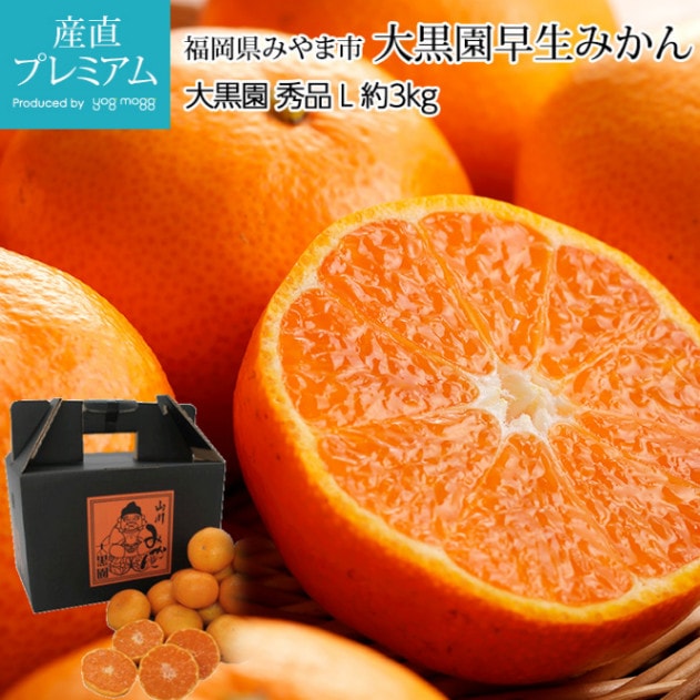 ߤ ߤ  3kg L 1925 ʡߤ޻ ľ<br>ڥߥ ̪   ߤ 碌ߤ  ե롼 ʪ ե £ ץ쥼 ˤ Ȣۡڻľץߥ