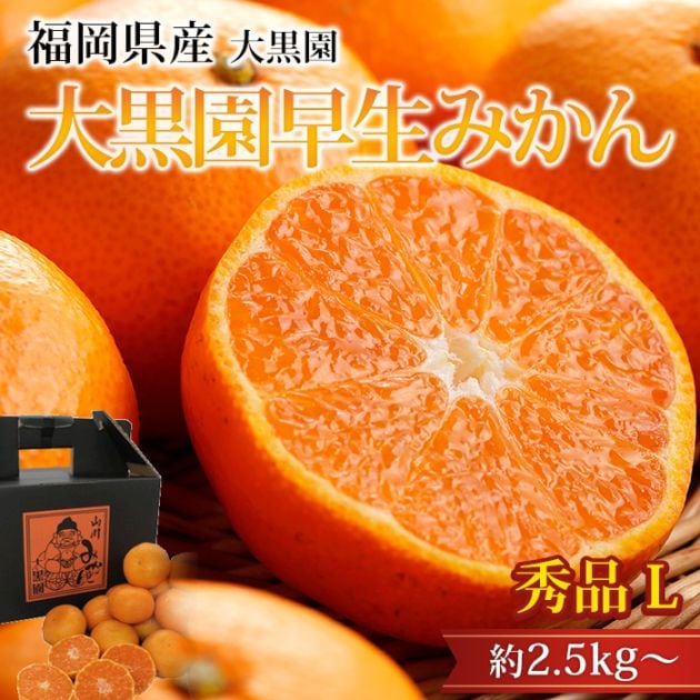�ߤ��� ����������ߤ��� ���� ��2.5kg�� L������ 16��22�� ʡ�����ߤ�޻� ����ľ��<br>�ڥߥ��� ̪�� ������������ ������������ �����ߤ��� �碌�ߤ��� ������ �ե롼�� ��ʪ ���ե� £�� �ץ쥼��� ��ˤ� Ȣ�������ۡڻ�ľ�ץ�ߥ����