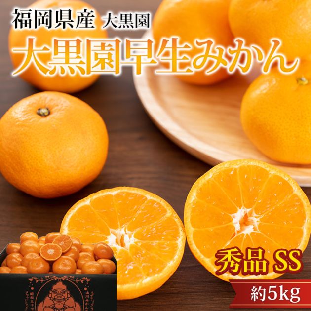 �ߤ��� ����������ߤ��� ���� ��5kg SS������ 70��80�� ���� ��γ ʡ�����ߤ�޻� ����ľ��<br>�ڥߥ��� ̪�� ������������ ������������ �����ߤ��� �碌�ߤ��� ������ �ե롼�� ��ʪ ���ե� £�� �ץ쥼��� ��ˤ� Ȣ�������ۡڻ�ľ�ץ�ߥ����