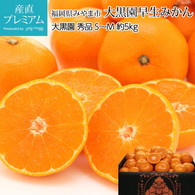 ߤ ߤ  5kg SM 5060 ʡߤ޻ ľ<br>ڥߥ ̪   ߤ 碌ߤ  ե롼 ʪ ե £ ץ쥼 ˤ Ȣۡڻľץߥ