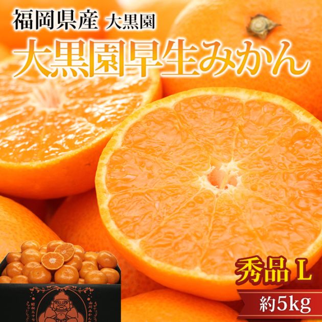 �ߤ��� ����������ߤ��� ���� ��5kg L������ 32��40�� ʡ�����ߤ�޻� ����ľ��<br>�ڥߥ��� ̪�� ������������ ������������ �����ߤ��� �碌�ߤ��� ������ �ե롼�� ��ʪ ���ե� £�� �ץ쥼��� ��ˤ� Ȣ�������ۡڻ�ľ�ץ�ߥ����