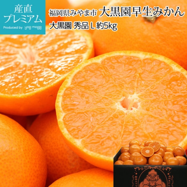 ߤ ߤ  5kg L 3240 ʡߤ޻ ľ<br>ڥߥ ̪   ߤ 碌ߤ  ե롼 ʪ ե £ ץ쥼 ˤ Ȣۡڻľץߥ