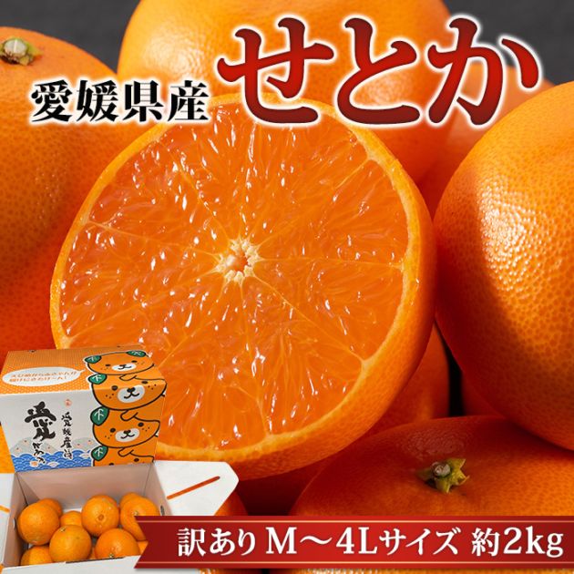 みかん様 たまーに個性的なミカンがなります🍊 色んな農家さんの個性的なのを