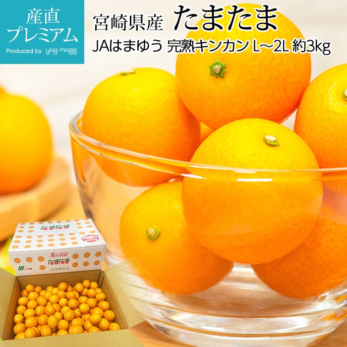 ���ޤ��� ���Ϥ��󤫤� ��3kg L��2L������ �ܺ긩�� �ܺ긩ǧ�� ����ľ��<br>�ڶⴻ ���󥫥� �⤫�� ���� ������ �ե롼�� ��ʪ ���ե� £�� �ץ쥼��� ��ˤ� ����16�ٰʾ� Ȣ�������ۡڻ�ľ�ץ�ߥ����