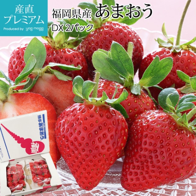 ������ ���ޤ��� DX 2�ѥå� ʡ������<br>�ڥ����� �� ���ȥ��٥꡼ ������ �ե롼�� ��ʪ ���ե� £�� �ץ쥼��� ��ˤ� �Τ��ۡڻ�ľ�ץ�ߥ����