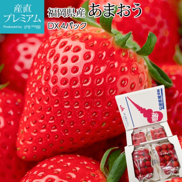 ������ ���ޤ��� DX 4�ѥå� ʡ�������ڥ����� �� ���ȥ��٥꡼ ������ �ե롼�� ��ʪ ���ե� £�� �ץ쥼��� ��ˤ� �Τ��ۡڻ�ľ�ץ�ߥ����