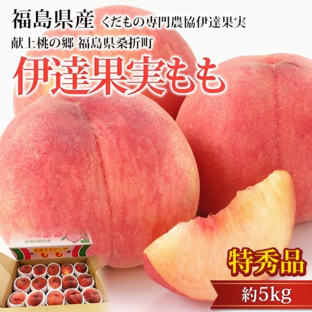 �� �������ζ� ʡ�縩����Į ��ã�̼¤�� �ý��� ��5kg ʡ�縩�� ����ľ��<br>�ڥ�� ��� ʡ�� ������ �ե롼�� ��ʪ ���ե� £�� �ץ쥼��� ��ˤ� �л��ˤ��ۡڻ�ľ�ץ�ߥ����