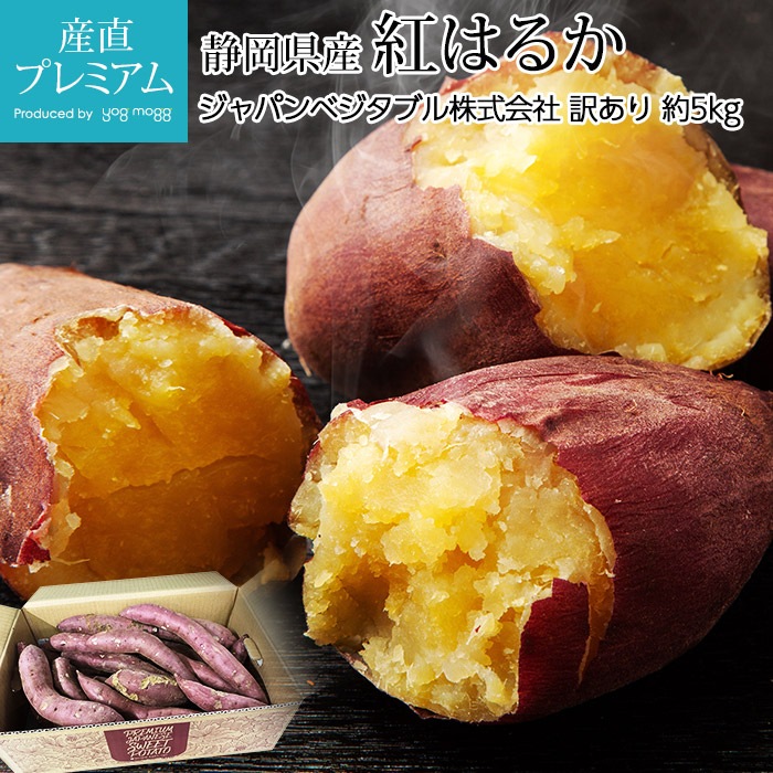 さつまいも苗【紅はるか本】【5月下旬〜6月上旬発送予定
