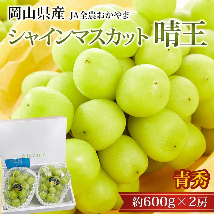 �֤ɤ� ���㥤��ޥ����å� ���� �Ľ� ��1.2kg 2˼ ���������ڥޥ����å� ��ƺ �֥ɥ� ������ �ե롼�� ��ʪ £�� ���ե� �ץ쥼��� ��ˤ� �л��ˤ��ۡڻ�ľ�ץ�ߥ����