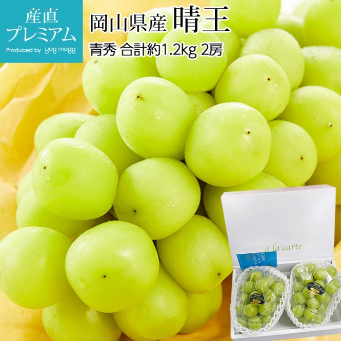 ֤ɤ 㥤ޥå  Ľ 1.2kg 2˼ ڥޥå ƺ ֥ɥ  ե롼 ʪ £ ե ץ쥼 ˤ лˤۡڻľץߥ