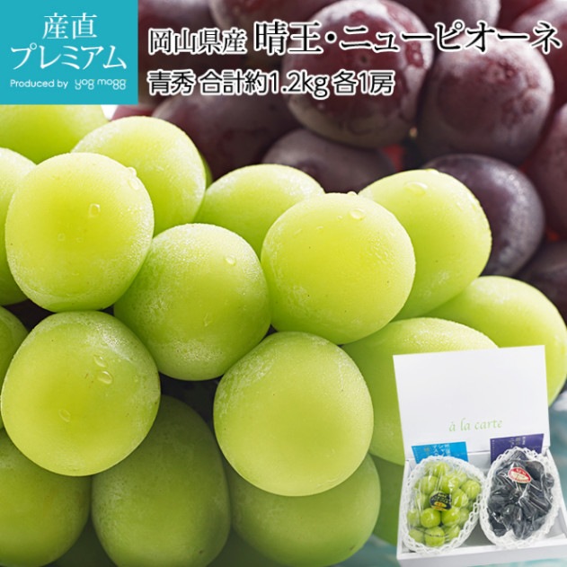 ֤ɤ 㥤ޥå  ˥塼ԥ Ľ 1.2kg 2˼å ڥޥå ˤ塼Ԥ ԥ å ƺ ֥ɥ  ե롼 ʪ £ ե ץ쥼 ˤ лˤۡڻľץߥ