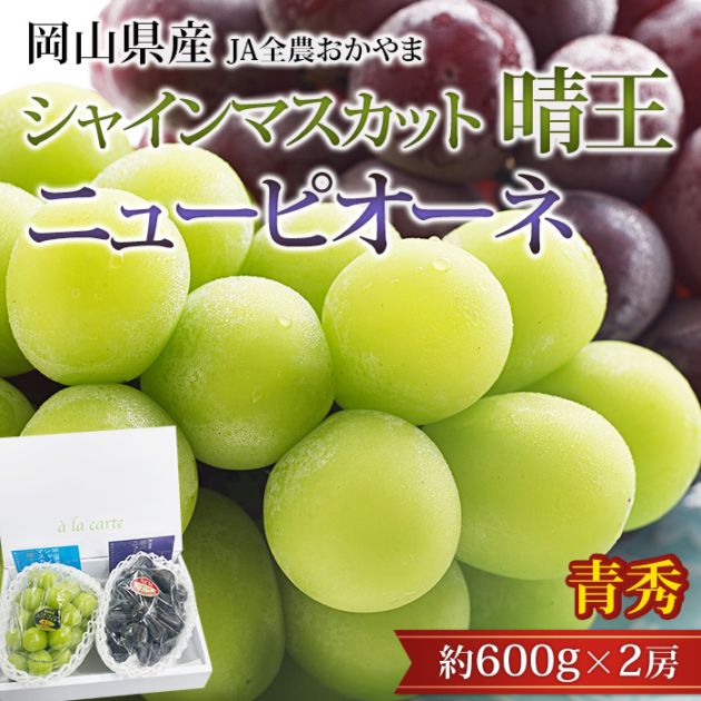 �֤ɤ� ���㥤��ޥ����å� ���� �˥塼�ԥ����� �Ľ� ��1.2kg 2˼���å� ���������ڥޥ����å� �ˤ塼�Ԥ����� �ԥ����� ���å� ��ƺ �֥ɥ� ������ �ե롼�� ��ʪ £�� ���ե� �ץ쥼��� ��ˤ� �л��ˤ��ۡڻ�ľ�ץ�ߥ����