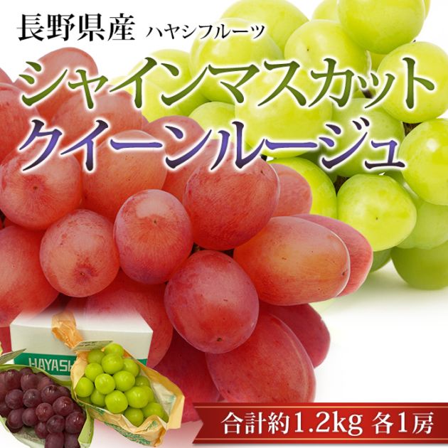 �֤ɤ� ���㥤��ޥ����å� ��������롼���� ��1.2kg 2˼ ���å� ��ë�ϥ䥷�ե롼�� Ĺ����ڥ֥ɥ� ��ƺ ���㥤�� �ޥ����å� ������ ��ʪ ���ե� £�� �ץ쥼��� ��ˤ��ۡڻ�ľ�ץ�ߥ����