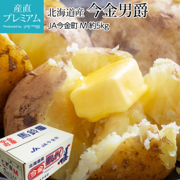 ���㤬���� �����˼� ��5kg M������ ��60�� �̳�ƻ�����˼ߤ��� ���ޤ����˼� �˼� ���󤷤㤯 ���㥬���� �ݥƥ� ������ ��� ���ե� £�� �ץ쥼��ȡۡڻ�ľ�ץ�ߥ����