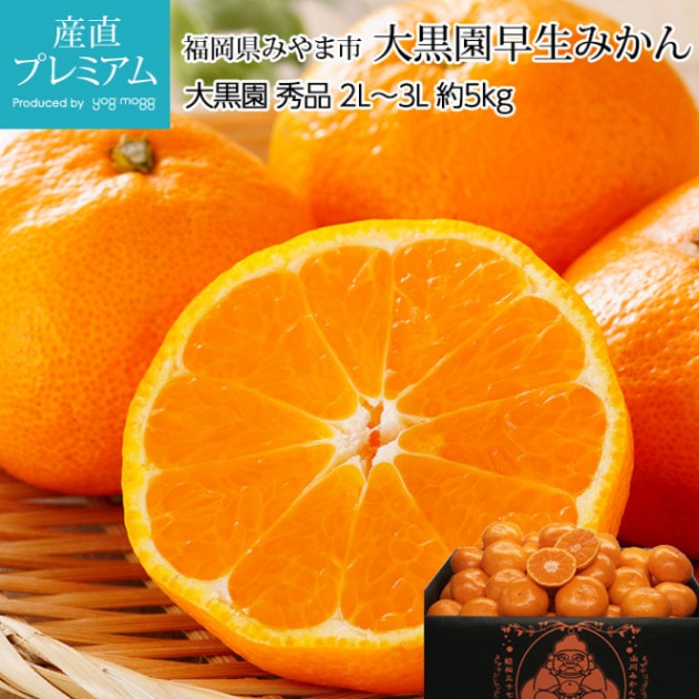 ߤ ߤ  5kg 2L3L 2632 ʡߤ޻ ľ<br>ڥߥ ̪   ߤ 碌ߤ  ե롼 ʪ ե £ ץ쥼 ˤ Ȣۡڻľץߥ
