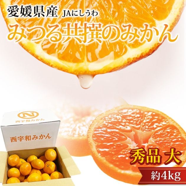 �ߤ��� �ߤĤ붦��Τߤ��� ���� ��4kg �� 20��28�� ��ɲ���� ����ľ��<br>��̪�� �ߥ��� �ߤĤ� ������ �ե롼�� ��ʪ ���ե� £�� �ץ쥼��ȡۡڻ�ľ�ץ�ߥ����