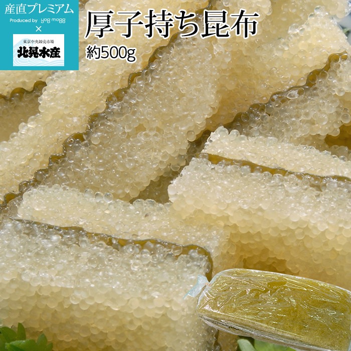 ���� ���һ������� ��500g �̹��建�ڥ���� ����� �һ��� ���� £�� �ץ쥼��� ��ˤ� ǯ�� ������ ������ۡڻ�ľ�ץ�ߥ����