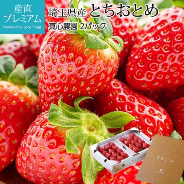 農家直送　とちおとめ　大粒いちご苗　90株セット 苗 とちおとめ イチゴ」の人気商品一覧 | 安い商品を通販サイトから