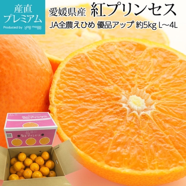 �ߤ��� �ȥץ�󥻥� ͥ�ʥ��å� ��5kg L��4L������ 12��26�� ��ɲ����<br>��̪�� �ߥ��� �Ȥפ�󤻤� ������ ������ �ե롼�� ��ʪ ���ե� £�� �ץ쥼��� ��ˤ� Ȣ�������ۡڻ�ľ�ץ�ߥ����