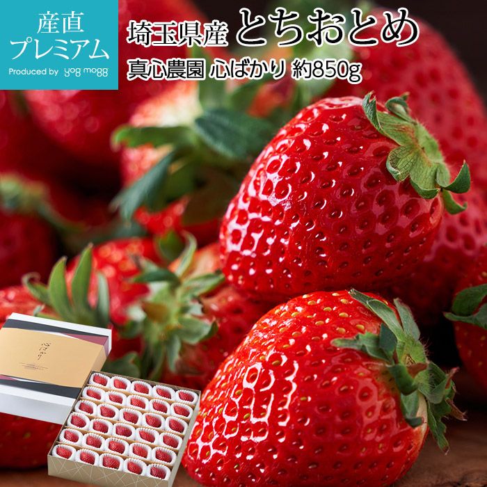 ������ �Ȥ����Ȥ� ���Ф��� ��850g 30��36γ ��̸��� ����ľ���ڥ����� �� �ʲ��� �ȥ����ȥ� �������Ф��� �������Х��� ���ȥ��٥꡼ ������ �ե롼�� ��ʪ ���ե� £�� �ץ쥼��� ��ˤ��ۡڻ�ľ�ץ�ߥ����