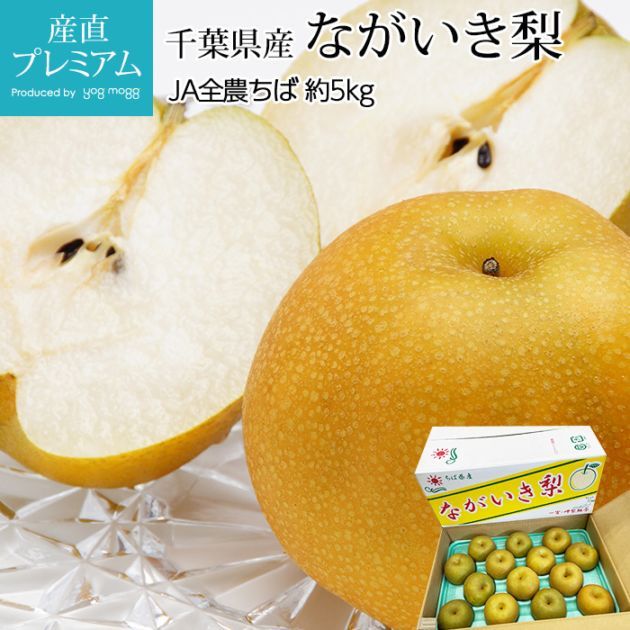  ʤ 5kg 1218 ո ʤ ʥ  ե롼 ʪ ե £ ץ쥼 ˤ лˤ 渵 ľץߥ