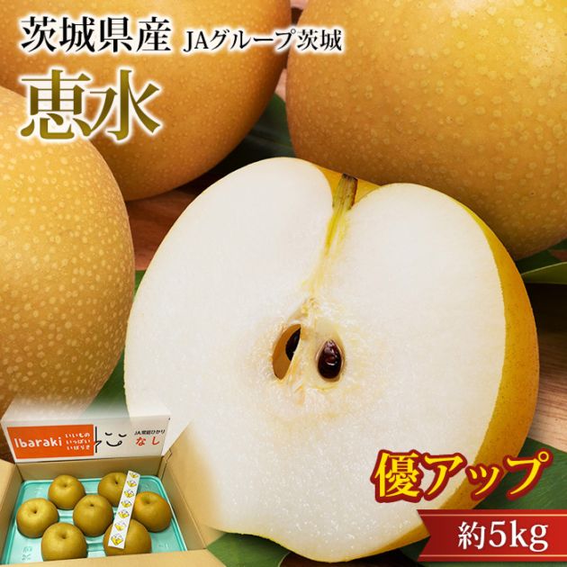 �� �ÿ� ͥ���å� ��5kg 8��12�� ��븩��<br>�ڤʤ� �ʥ� �������� �������� ������ �ե롼�� ��ʪ ���ե� £�� �ץ쥼��� ��ˤ� �л��ˤ��ۡڻ�ľ�ץ�ߥ����
