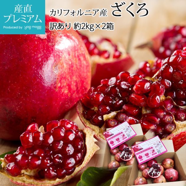 ������ ������ ��4kg ����ե���˥��� ����ꥫ<br>�ڥ����� ���� ������ �ե롼�� ��ʪ ���ե� ������ �ץ쥼��� ��ˤ��ۡڻ�ľ�ץ�ߥ����