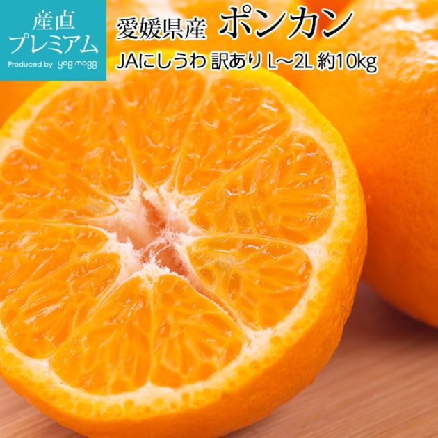 �ߤ��� �ݥ󥫥� ������ ��10kg L��2L������ 55��78�� ��ɲ���� ����ľ��<br>��̪�� �ߥ��� �ݤ󤫤� ܮ�� ������ ������ �ե롼�� ��ʪ ������ ��ˤ� Ȣ�������ۡڻ�ľ�ץ�ߥ����