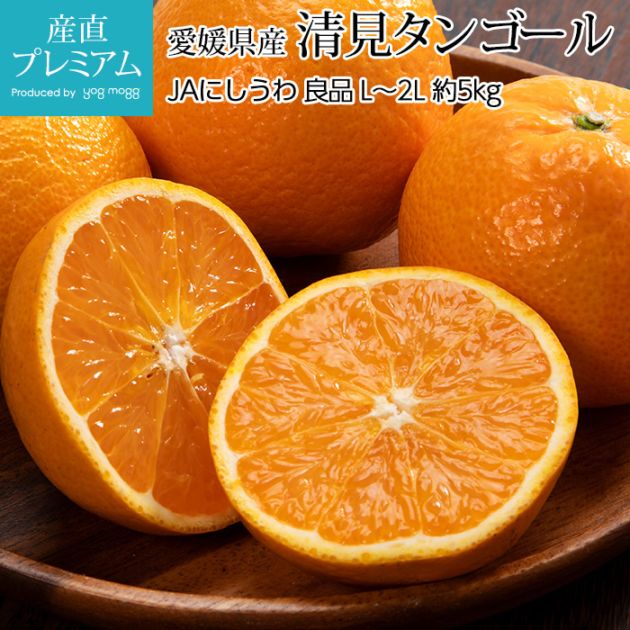 �������󥴡��� ���� ��5kg L��2L������ 18��25�� ��ɲ���� ����ľ��<br>�ڤߤ��� �ߥ��� ̪�� ���� ���󥴡��� ������ �ե롼�� ��ʪ ���ե� £�� �ץ쥼��� ��ˤ� Ȣ�������ۡڻ�ľ�ץ�ߥ����