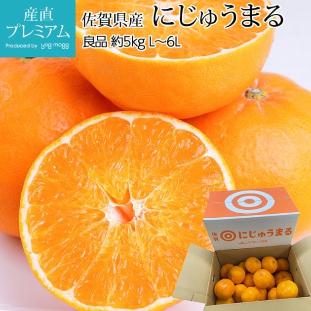 �ߤ��� �ˤ��夦�ޤ� ���� ��5kg L��6L������ ���츩��<br>��̪�� �ߥ��� �˥��奦�ޥ� ������ ������ �ե롼�� ��ʪ ���ե� £�� �ץ쥼��� Ȣ�������ۡڻ�ľ�ץ�ߥ����