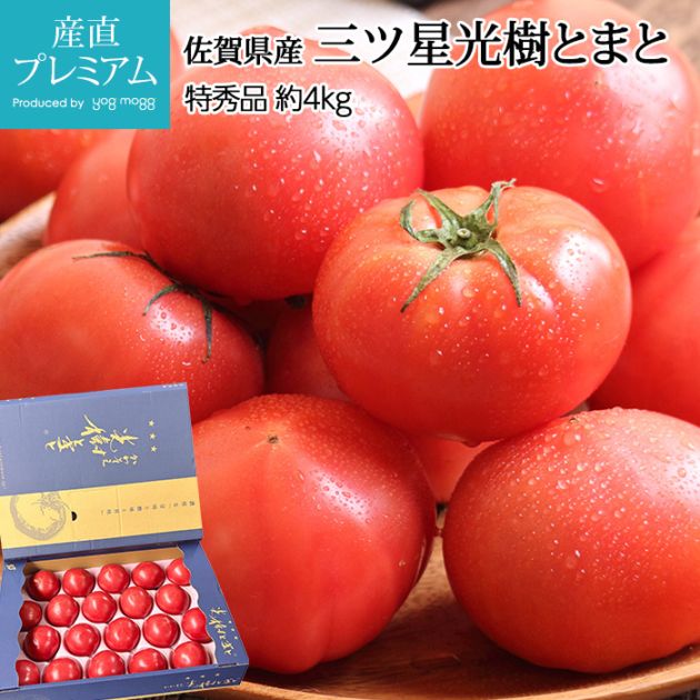 トマト 三ツ星光樹とまと 特秀品 約4kg 12～28玉 佐賀県産<br>【トマト