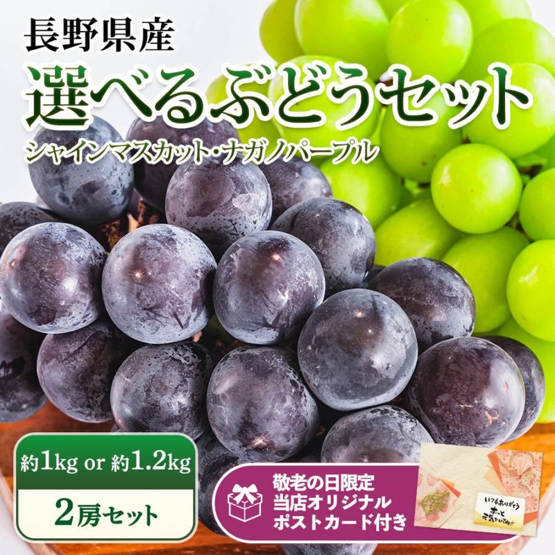 敬老の日 ギフト】ぶどう シャインマスカット ナガノパープル 約1kg 約