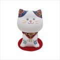 きらきら多良福猫（大）|猫グッズ