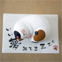 猫日和　いい夢みてる