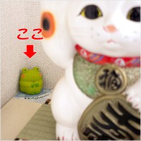 (小)すみっこって　おちつきますよねぇ　かえる|かえるグッズ