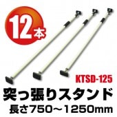 �ͤ�ĥ�ꥹ����� KTSD-125 ��12������
