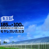 ビニールハウス用 農業用塩ビフィルム モヤレスいただき オカモト 厚さ0.1mm 185cm×100m 外貼り用 防霧 無水滴 透明 べたつき防止 安心の日本製 ハウス用 プラスティックフィルム 農ビ