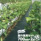 魚瀬ゴム 農作業用マット 厚さ 7mm 700mm×2000mm 15枚 農道マット 疲れ防止 ぬかるみ 温室通路 農道ゴムマット|農作業用マット|現場用品