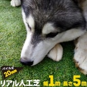 リアル人工芝 【芝丈20mm】【幅1m】【長さ5m】天然芝のような 庭 ガーデン 草 人芝 水はけ 人工芝マット テラス ベランダ|リアル人工芝|人工芝